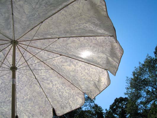 blue-umbrella-day